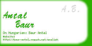 antal baur business card